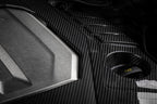 Engine Cover C8 4.0T EA825 Carbon Fiber Fits 2021-2024 Audi RS6 Avant/RS7 Sportback APR