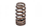 Valve Spring Kit (1 Set) Fits various VW, Audi, Seat, Skoda, Cupura, Bentley, Lamborghini, and Porsche vehicles APR