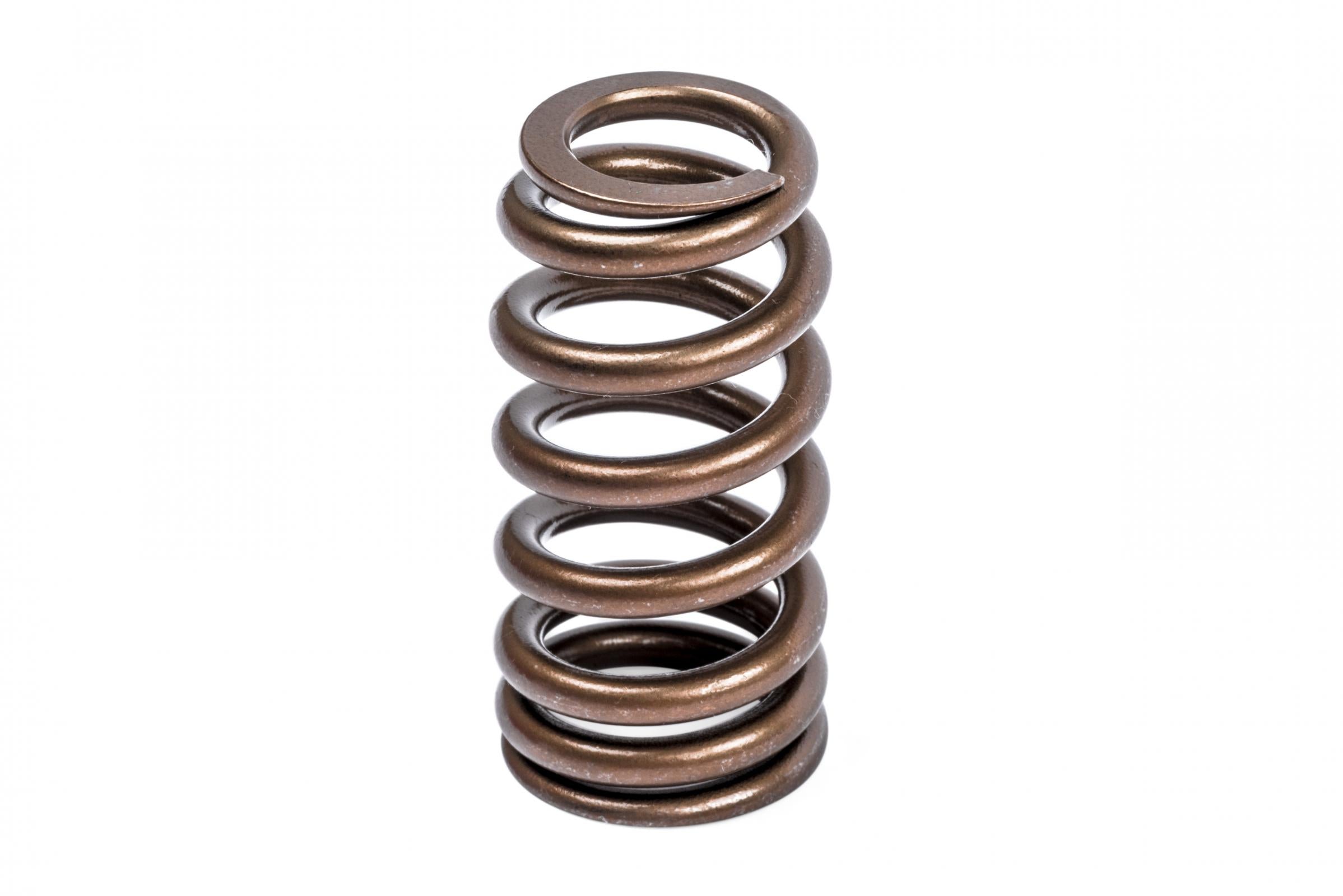 Valve Spring Kit (1 Set) Fits various VW, Audi, Seat, Skoda, Cupura, Bentley, Lamborghini, and Porsche vehicles APR