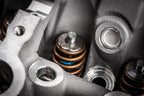 Valve Spring Kit (1 Set) Fits various VW, Audi, Seat, Skoda, Cupura, Bentley, Lamborghini, and Porsche vehicles APR