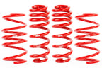 Roll-Control Lowering Springs Fits 2022-2024 Volkswagen GTI APR