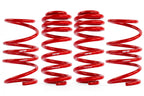 Roll-Control Lowering Springs MK8 Golf R Fits Volkswagen Golf R 22-24 APR